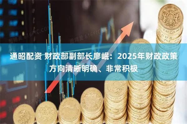 通昭配资 财政部副部长廖岷：2025年财政政策方向清晰明确、非常积极