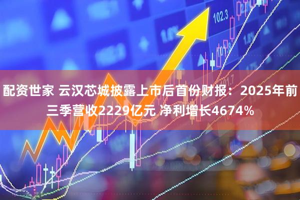 配资世家 云汉芯城披露上市后首份财报：2025年前三季营收2229亿元 净利增长4674%